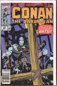 Conan the Barbarian #236 (1990) Conan