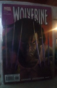 Wolverine #7 (2004)
