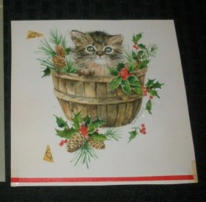 CHRISTMAS Cute Kitten in Basket w Pine Cones 6x5.5 Greeting Card Art #625-16