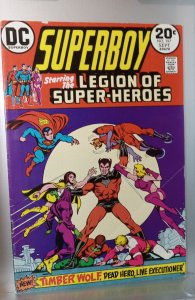 Superboy #197 (1973)