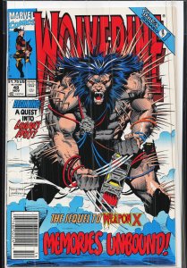 Wolverine #48 (1991) Wolverine