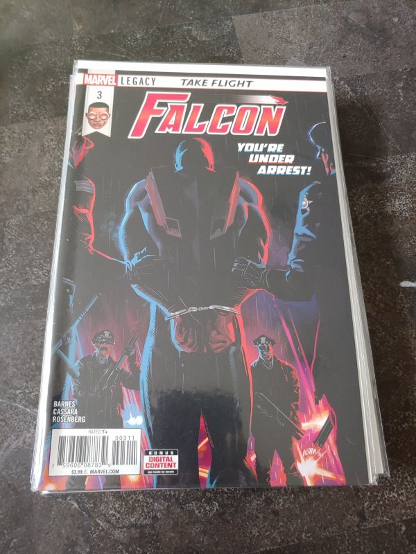 Falcon #3 (2018)