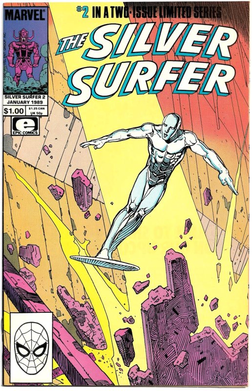 The SILVER SURFER #1, 2  1988 EPIC Limited Series • 8.0 VF • Stan Lee & MOEBIUS!