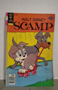 Scamp #38 (1977).  H02