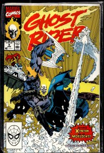 Ghost Rider #9 (1991) Ghost Rider