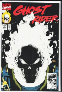 Ghost Rider #15 (1991) Ghost Rider