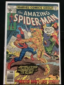 The Amazing Spider-Man #173 (1977)