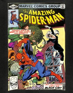 Amazing Spider-Man #204 Black Cat!
