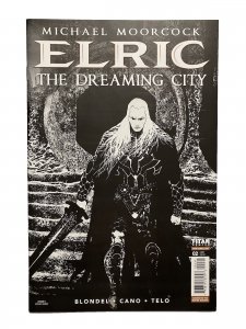 Elric The Dreaming City #2 Michael Moorcock Stevan Subic Cover C Titan Comics