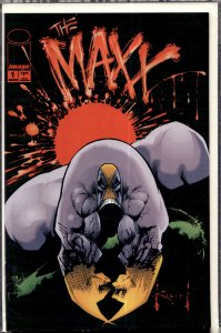 The Maxx: Maxximized #1 Variant Cover (2013)