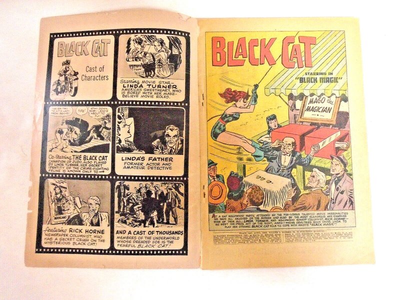 Black Cat #65 Giant