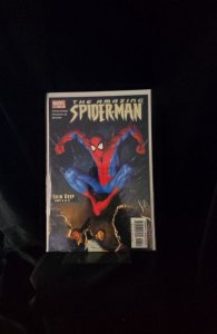 The Amazing Spider-Man #518 (2005)  