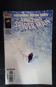 The Amazing Spider-Man #556 (2008)