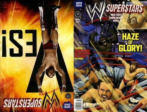 WWE Superstars (Vol. 1) #5 VF; Super Genius | save on shipping - details inside 