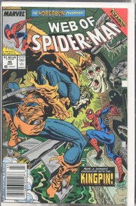 Web of Spider-Man #48 (1989) Spider-Man