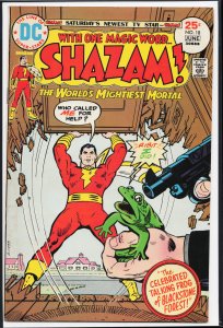 Shazam! #18 (1975) Captain Marvel / Shazam!