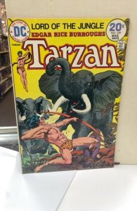 Edgar Rice Burroughs' Tarzan #229 (1974)