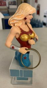 Women of The DC Universe Wonder Girl Bust Series 2 Terry Dodson Limited Edition 