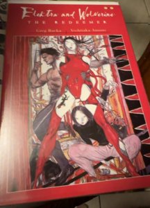 Elektra and Wolverine: The Redeemer #3 (2002) Elektra 