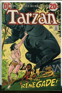 TARZAN #2156 1973-DC-EDGAR RICE BURROUGHS-JOE KUBERT JUNGLE ART-vf