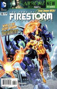 Fury of Firestorm: The Nuclear Men   #13, NM (Stock photo)