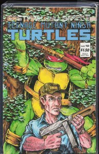 Teenage Mutant Ninja Turtles #12 (1987)