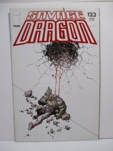 Savage Dragon #123 (2006) 
