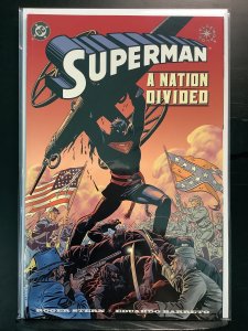 Superman: A Nation Divided (1999)