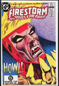 The Fury of Firestorm #12 (1983) Firestorm