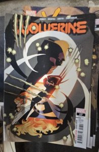 Wolverine #17
