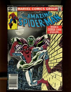 Amazing Spiderman #231 - Cobra Appearance. Newsstand Edition. (8.0) 1982 