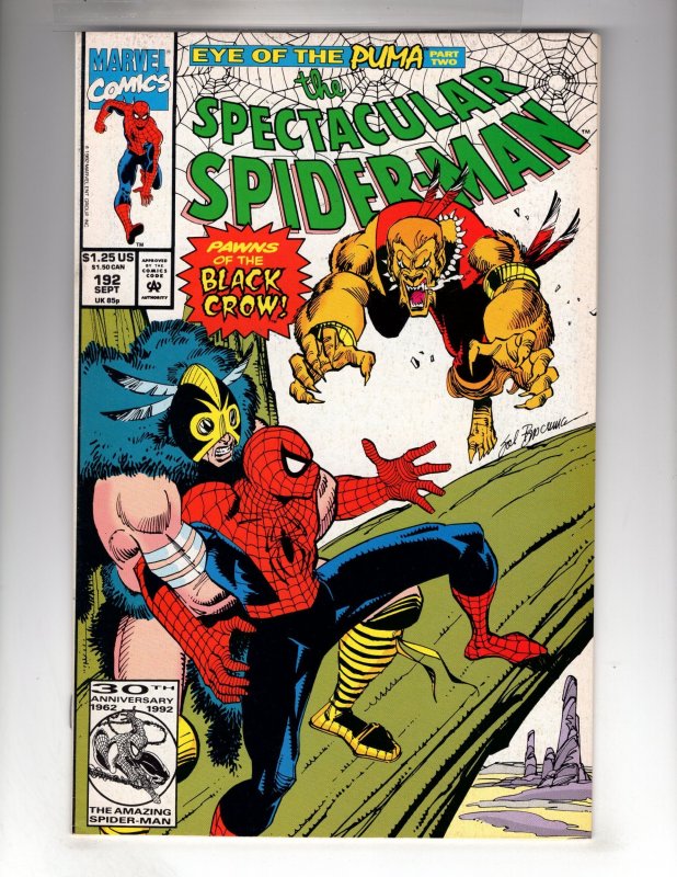 The Spectacular Spider-Man #192 (1992)      / ID#NN