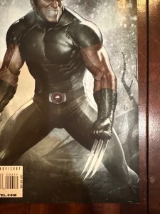 Wolverine Weapon X #4 Granov Cover (2009)