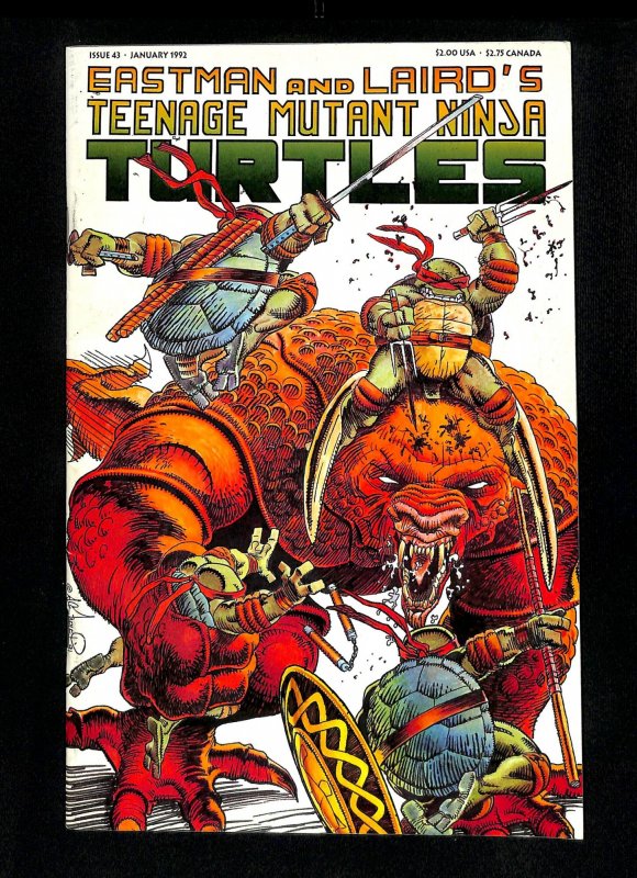 Teenage Mutant Ninja Turtles #43