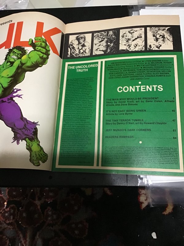 Hulk! #24 (1980) 1st Lou Ferrigno Hulk cover! Dominic fortune by Chaykin! VF/NM