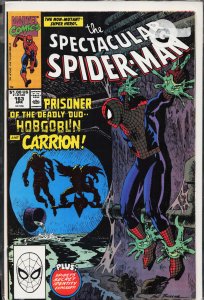 The Spectacular Spider-Man #163 (1990) Spider-Man