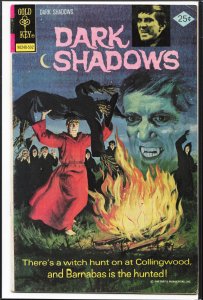 Dark Shadows #30 (1975) Dark Shadows