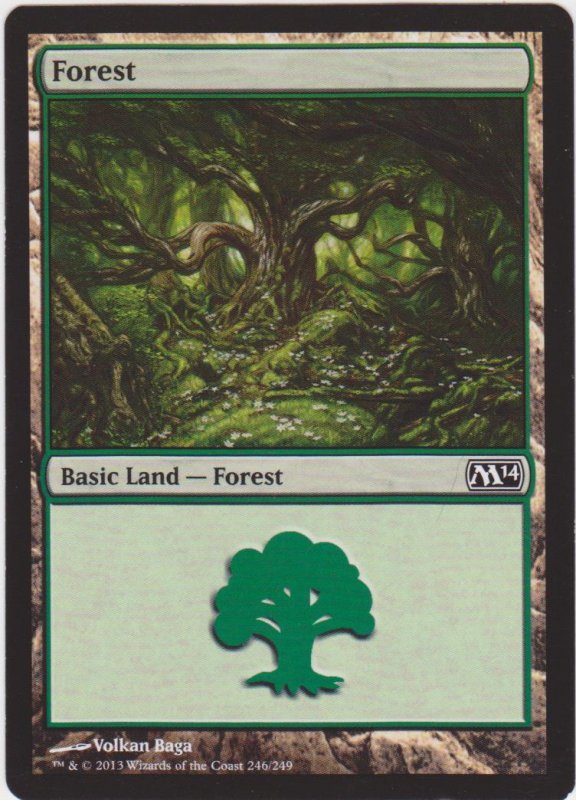 Magic the Gathering: Basic Land - Forest