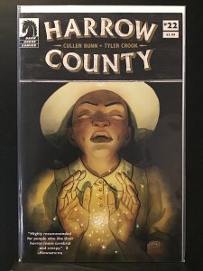 Harrow County #22 (2017)