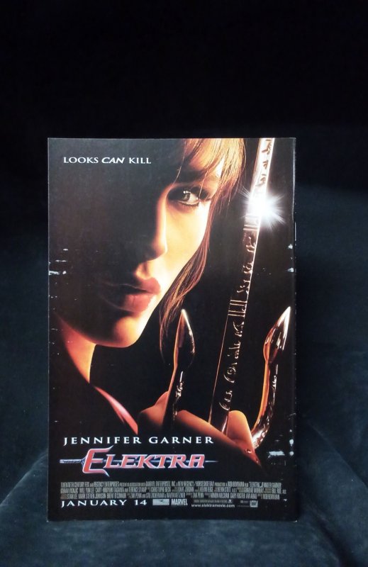 The Punisher: MAX #16 (2005)