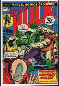 The Incredible Hulk #164 (1973) Hulk