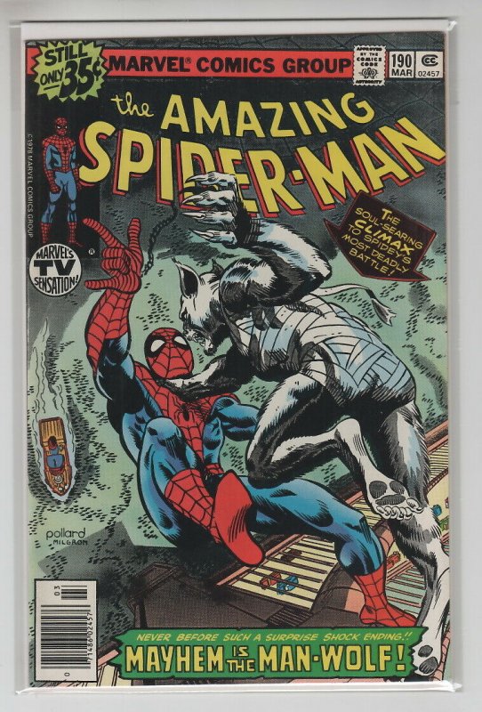 AMAZING SPIDER-MAN (1963 MARVEL) #190 VF+ A97224