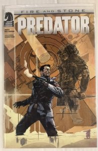 Predator: Fire and Stone #1 Variant Cover (2014)