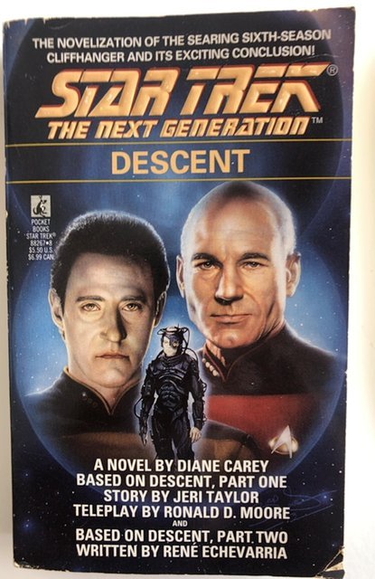 Star Trek the next generation- descent,1993,278p,PB,VG+
