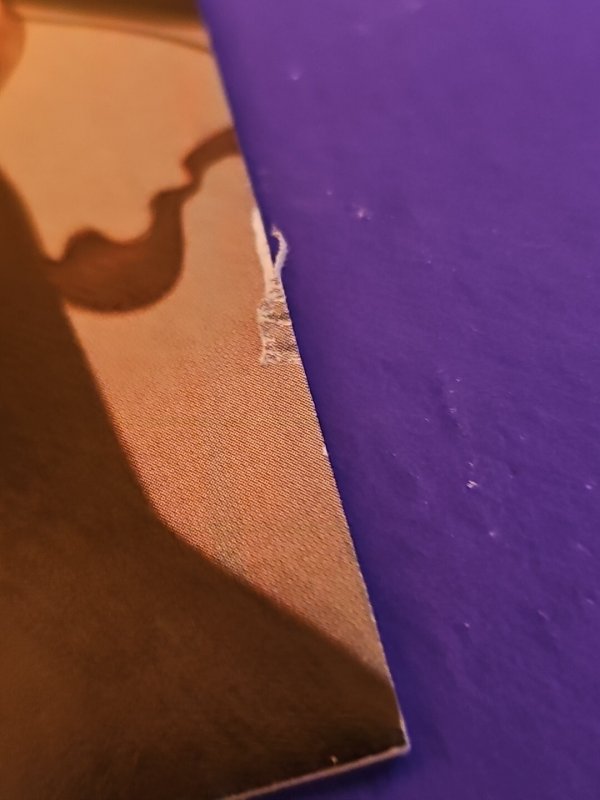 The Beauty 1 VF- Image Comics Jenny Frison Kevin Wada Variants See Pics