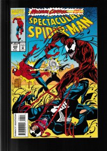 The Spectacular Spider-Man #202 (1993) VFN/NM / MAXIMUM CARNAGE / VENOM