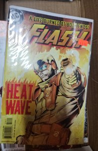 The Flash #218 (2005)