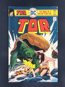 Tor #6 (1976)