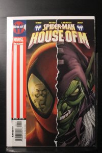 Spider-Man: House of M #4 (2005)