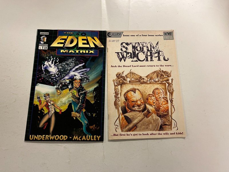 4 comics The Fly 1 Aster 1 Eden Matrix 1 Storm Watcher 1 5 JW36